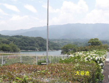 ÂçëÃÓ87cd3edd