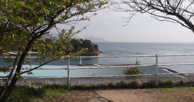 2016-3-19-直島-6-高原城跡