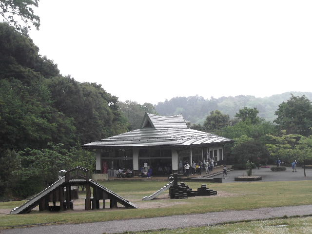 DSCF0914