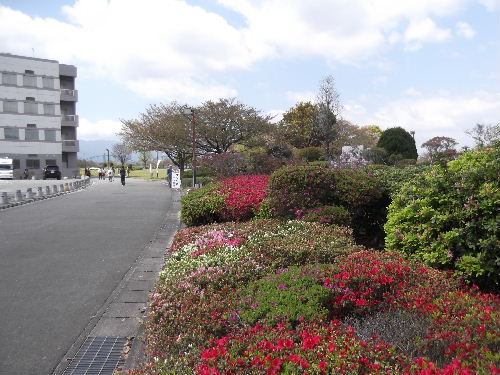 DSCF0834