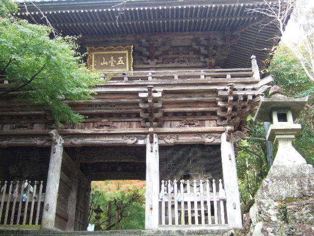 2010_1114龍馬0044