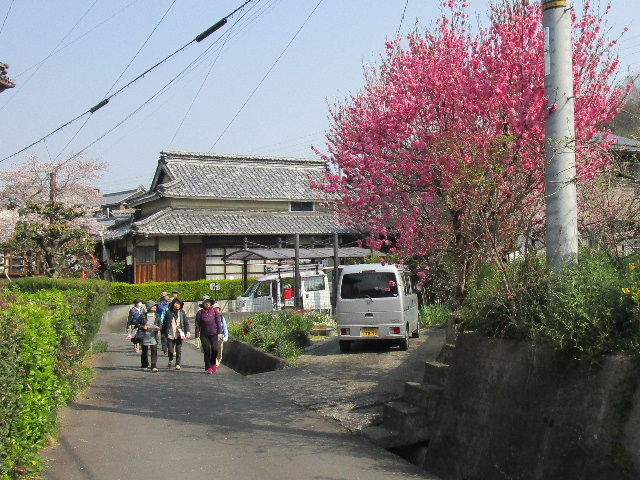 IMG_0859w