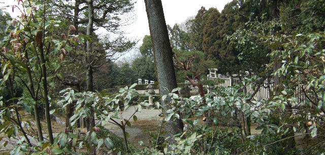 2010_0321µþÅԥġ¼¥Ç¡¼¥¦¥ª¡¼¥¯0021