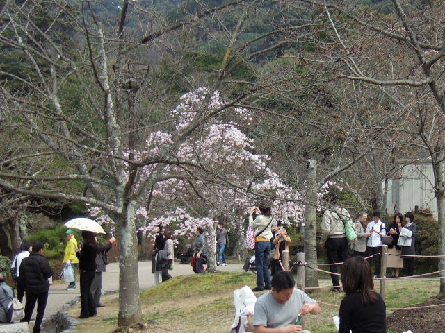 2010_0321µþÅԥġ¼¥Ç¡¼¥¦¥ª¡¼¥¯0042