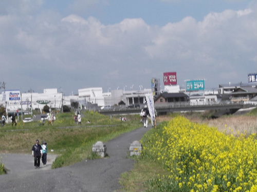 DSCF0828