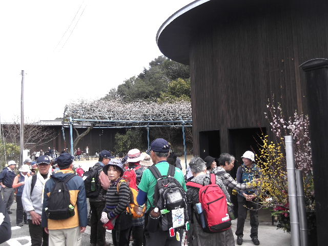 2016-3-19-直島-9-藤棚とトイレ