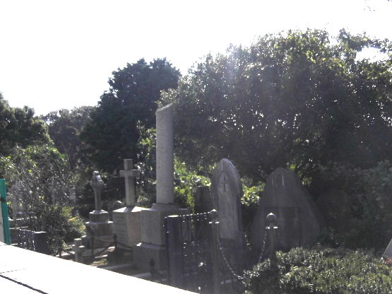DSCF3704a