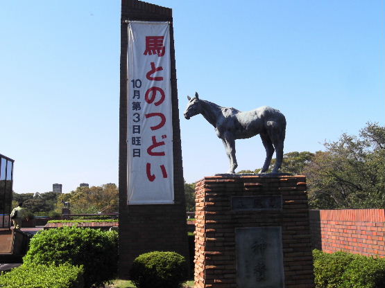 DSCF3698