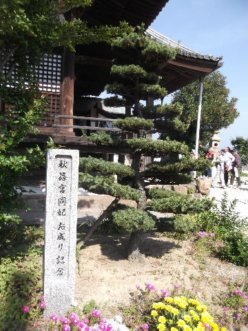 DSCF7651
