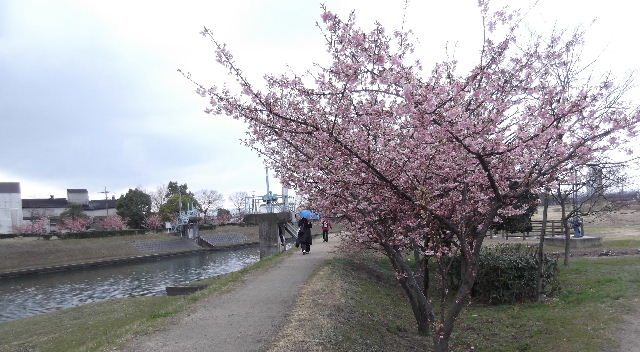 2015-3-14-28²óÁÒÉß2day¡-6-²ÏÄźù