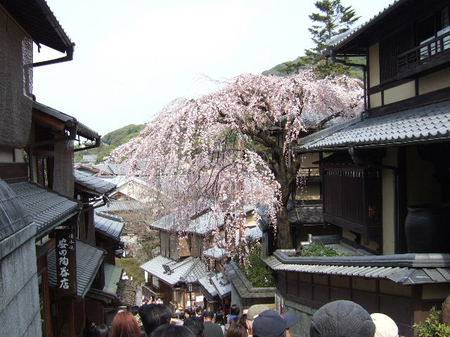 2010_0321µþÅԥġ¼¥Ç¡¼¥¦¥ª¡¼¥¯0033