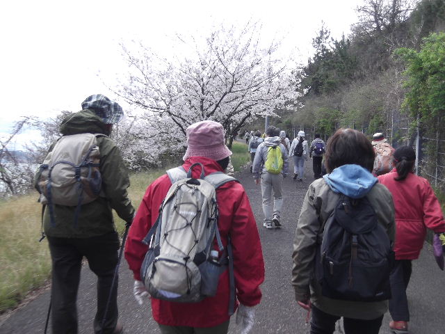 2014-4-4-¤»¤Ã¤«¤¯½÷ÌÚ2-ºù¤ß¤Á