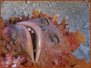 ウルトラマン 第8話 怪獣無法地帯 似顔絵も描くブログbyルーフパートナーズ ウルトラマン 第8話 怪獣無法地帯 似顔絵も描くブログbyルーフパートナーズ