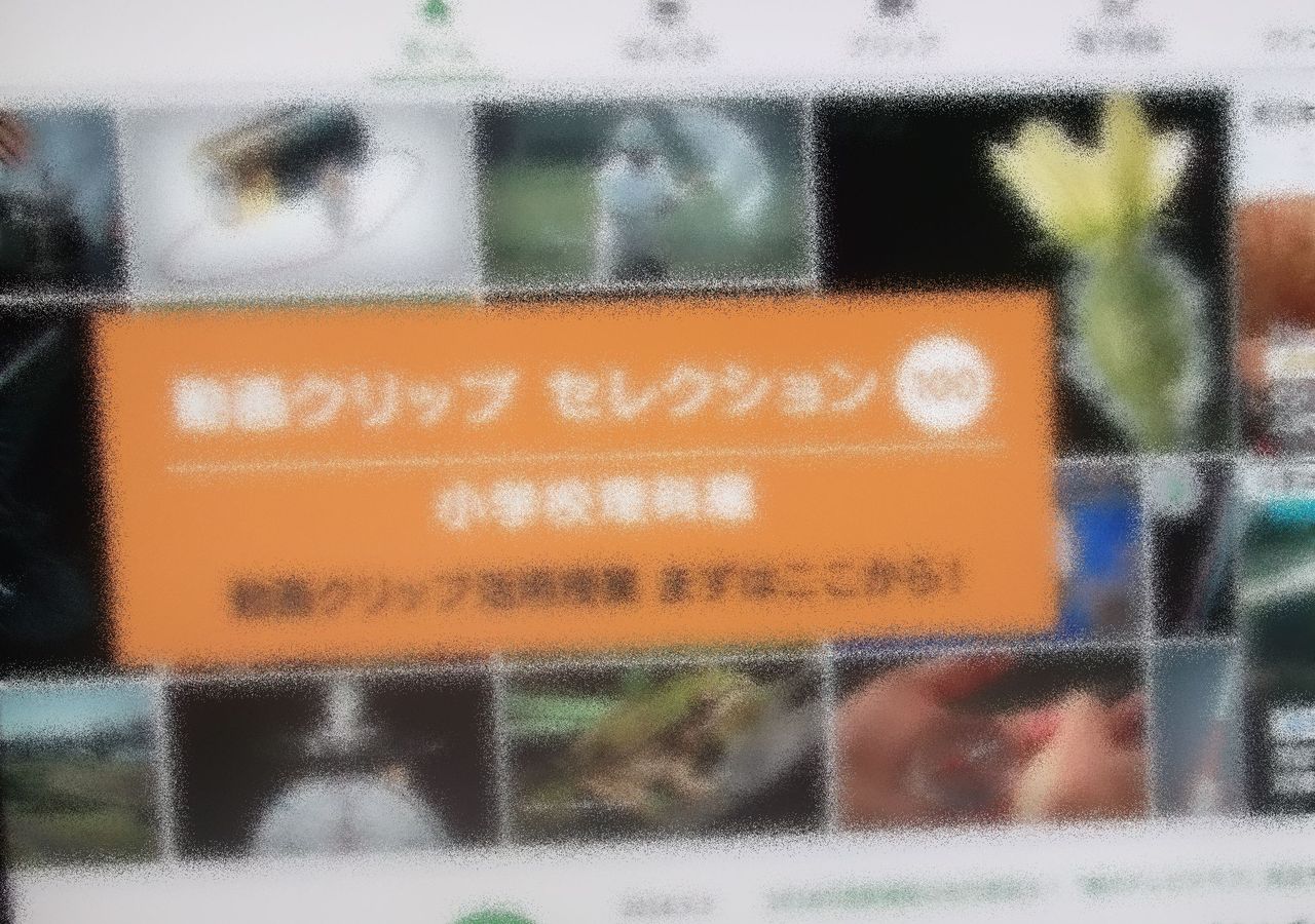 学びをサポートnhk For School 放送教育デスクトップ 学びをサポートnhk For School 放送教育デスクトップ
