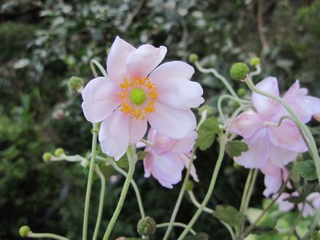 2009_1016_064659-IMG_2453