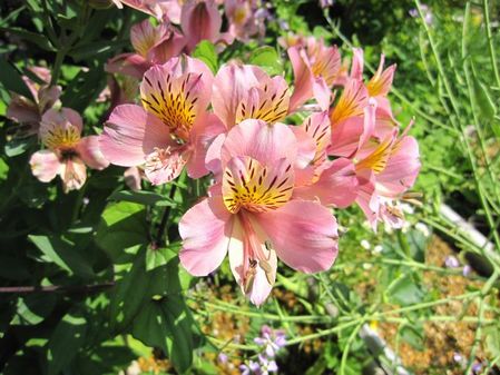 2010_0522_094006-IMG_6855