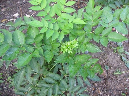 2009_1027_070034-IMG_2651