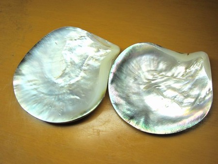 2012_0404_121735-IMG_5069