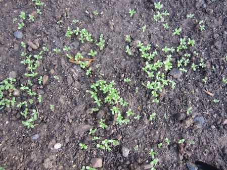 2009_0925_065606-IMG_2186