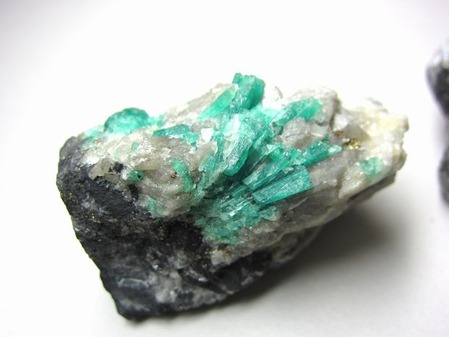 2012_0406_142306-IMG_5178