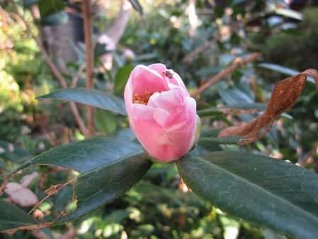 2009_0925_073009-IMG_2193