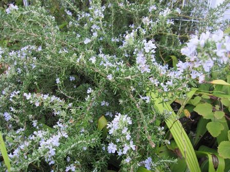 2009_0925_065837-IMG_2188