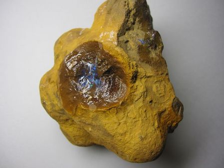 2009_0929_064301-IMG_2238