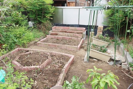 趣味の歳時記 段々ブロックイチゴ畑とハーブ花壇 ｖ ０ Livedoor Blog ブログ