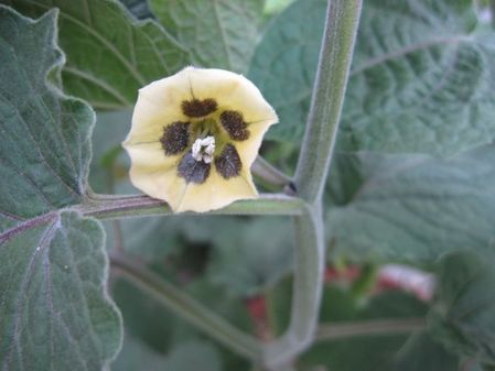 2009_0927_160322-IMG_2218