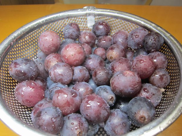 大失敗なブドウの果実酒～v（＾0＾）/ : 趣味の歳時記