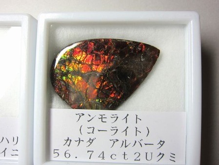 2012_0406_142430-IMG_5180