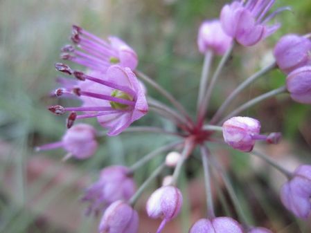 2009_1030_064334-IMG_2684