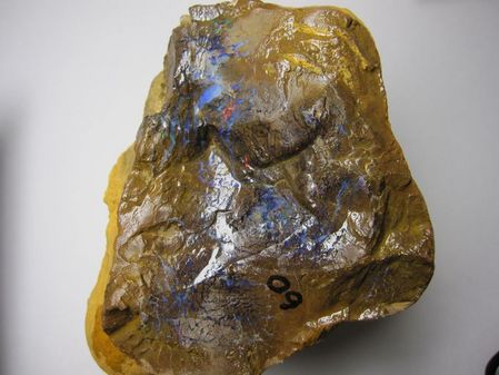 2009_0929_064207-IMG_2237