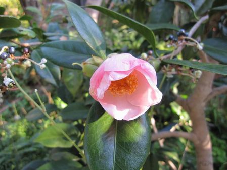 2009_0925_072942-IMG_2192