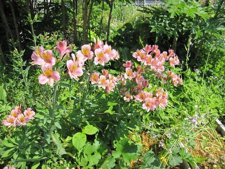 2010_0522_093957-IMG_6854