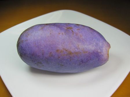 2009_1027_061228-IMG_2644