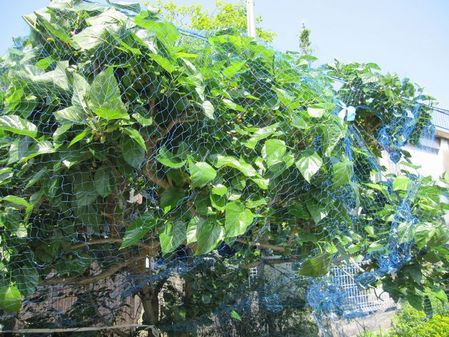 2010_0522_094424-IMG_6857