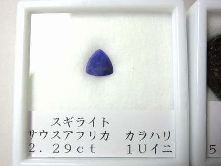 2012_0406_142449-IMG_5181