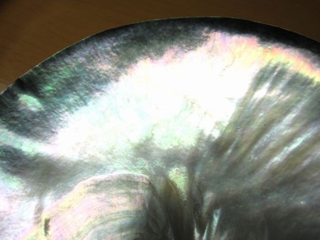 2012_0404_121750-IMG_5070