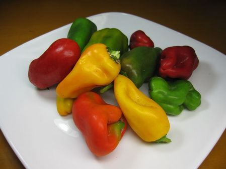 2009_1027_061048-IMG_2643