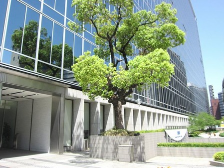 2012_0403_180240-IMG_5053