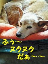 ����
