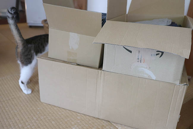 セカンドストリート 衣類 猫の毛 査定悪い