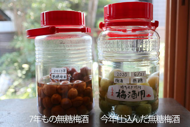 無糖梅酒 糖質ゼロ 作り方 おいしい
