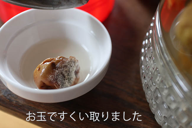 梅シロップ 白カビ発生 画像