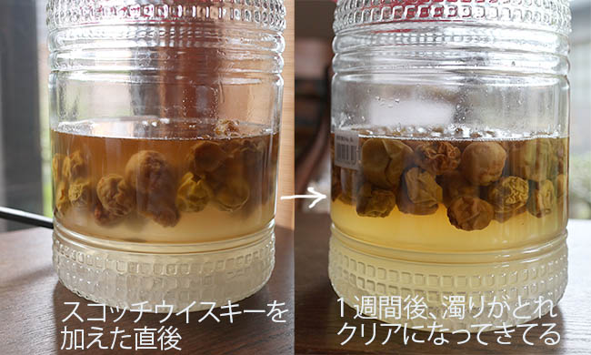 梅シロップ 白カビ発生 対処法 アルコール ウイスキー