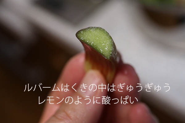 ルバームの茎 ジャム作り方 レシピ