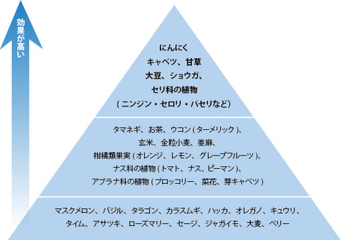 癌にいい食品　デザイナーフーズピラミッド　