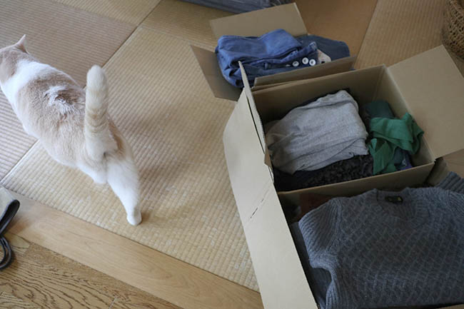 セカンドストリート 衣類 猫の毛 査定激安