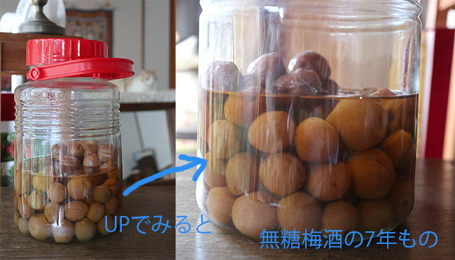 糖質OFF 完全無糖梅酒 氷結 作り方 レシピ